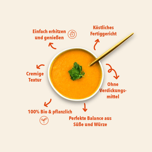 Karotte-Ingwer-Suppe Bio, 360ml
